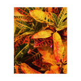 Multi Colored Croton Leaves | Premium Matte Vertical Poster