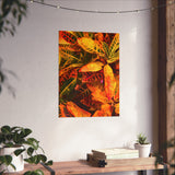 Multi Colored Croton Leaves | Premium Matte Vertical Poster