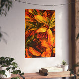 Multi Colored Croton Leaves | Premium Matte Vertical Poster