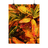 Multi Colored Croton Leaves | Premium Matte Vertical Poster