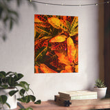Multi Colored Croton Leaves | Premium Matte Vertical Poster