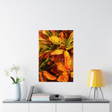 Multi Colored Croton Leaves | Premium Matte Vertical Poster