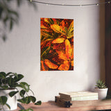 Multi Colored Croton Leaves | Premium Matte Vertical Poster