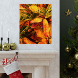 Multi Colored Croton Leaves | Premium Matte Vertical Poster