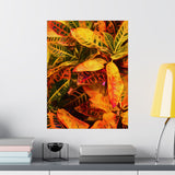 Multi Colored Croton Leaves | Premium Matte Vertical Poster