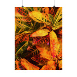 Multi Colored Croton Leaves | Premium Matte Vertical Poster